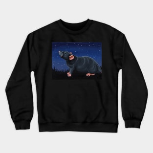 Grey Rat Stargazing Crewneck Sweatshirt